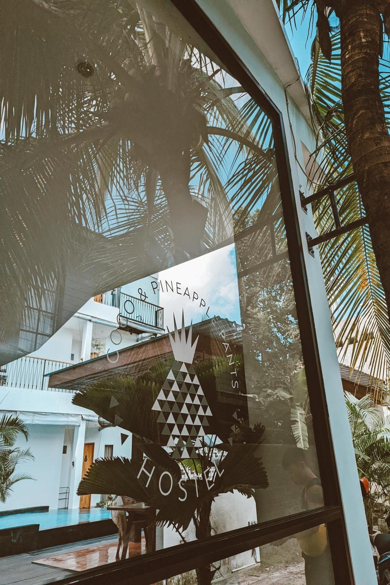 Coco & Pineapple Pants Hostel Canggu (Bali)